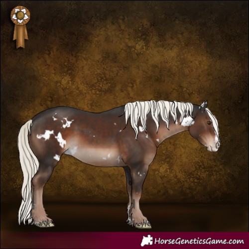 Horse Color:White Spotted Liver Chestnut Mushroom Sabino Splash 