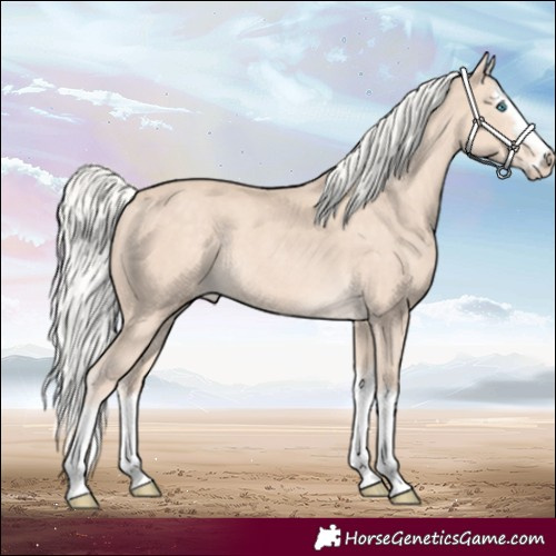 Horse Color:Silver Perlino Splash Rabicano 