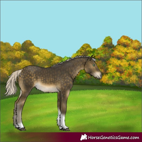Horse Color:Silver Buckskin Mushroom Tobiano Rabicano 