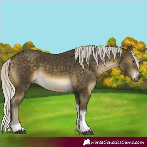 Horse Color:Silver Buckskin Mushroom Tobiano Rabicano 
