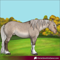 Horse Color:Silver Brown Dun Mushroom Tobiano Varnish