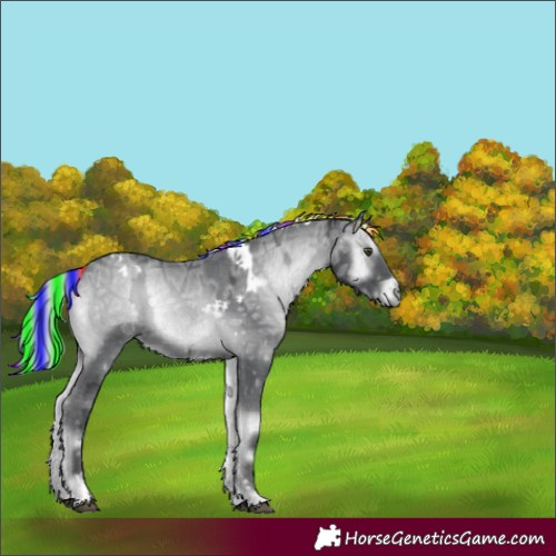 Horse Color:Painted White Spotted Silver Blue Onyx Chinchilla Ice Tobiano 