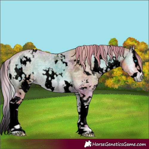 Horse Color:Void Watercolor Plaid  White Spotted Red Onyx Ice Splash 