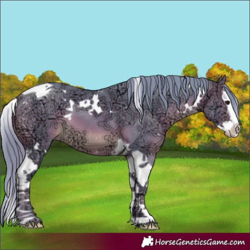Horse Color:Watercolor White Spotted Brown Ice Splash Tobiano 