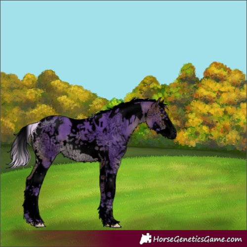 Horse Color:Void Watercolor White Spotted Silver Bay Ice Splash Tobiano Rabicano 