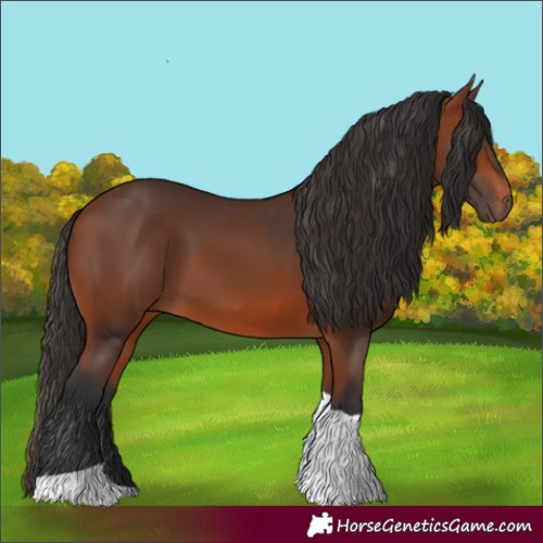 Horse Color:Bay Tobiano 