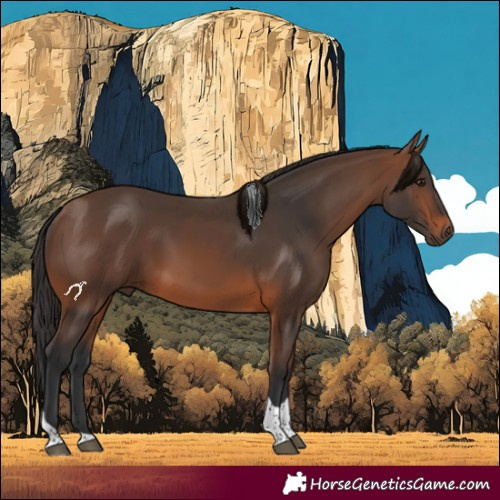 Horse Color:Brown Tobiano