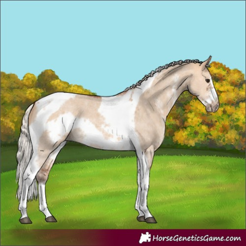 Horse Color:Silver Bay Dun Sabino Tobiano Frame Rabicano 