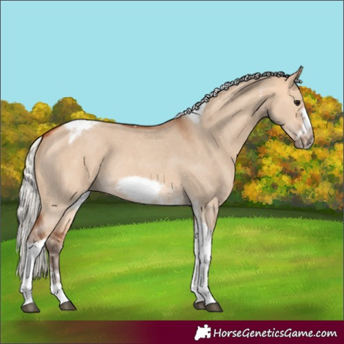 Horse Color:Silver Bay Dun Sabino Tobiano Frame Rabicano 