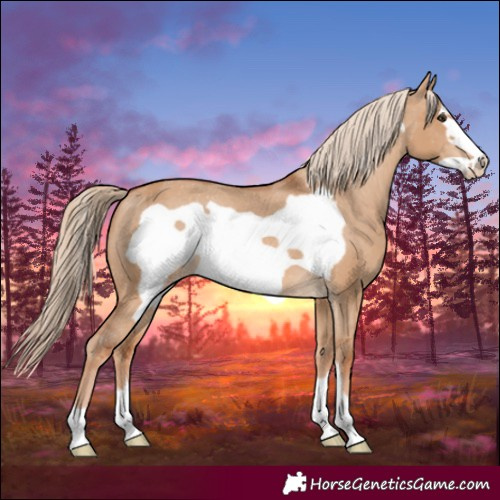 Horse Color:Red Dun Frame Varnish 