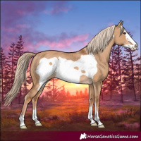 Horse Color:Red Dun Frame Varnish 