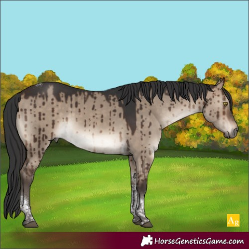Horse Color:Brown Dun Tobiano Brindle 