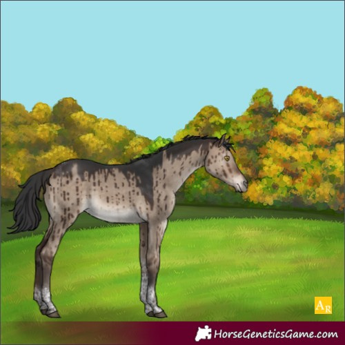 Horse Color:Brown Dun Tobiano Brindle 