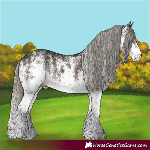 Horse Color:White Spotted Silver Smoky Black
