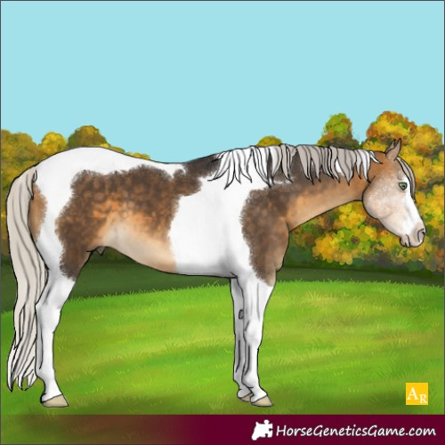 Horse Color:Silver Buckskin Tobiano