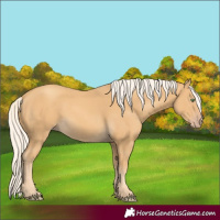 Horse Color:Gold Cream Champagne 