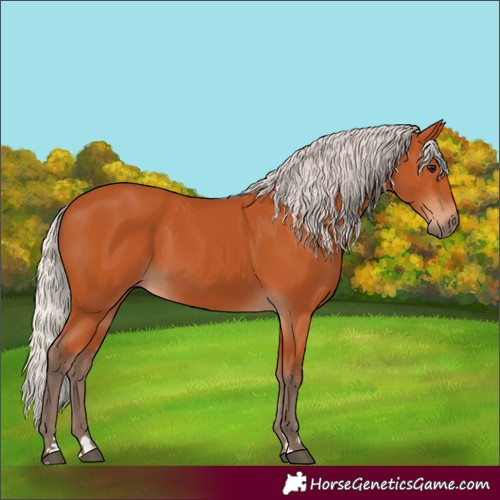 Horse Color:Silver Bay
