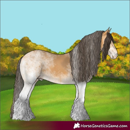 Horse Color:White Spotted Buckskin 