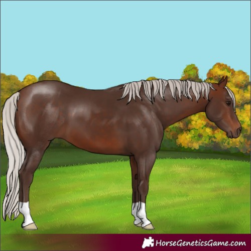 Horse Color:Silver Brown 