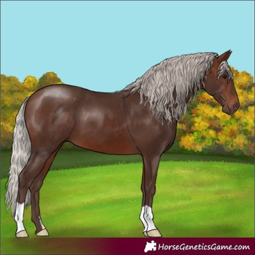 Horse Color:Silver Brown