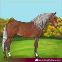 Horse Color:Silver Brown 