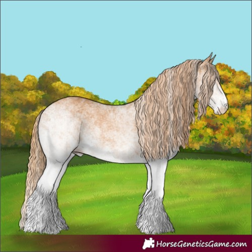 Horse Color:White Spotted Chestnut 