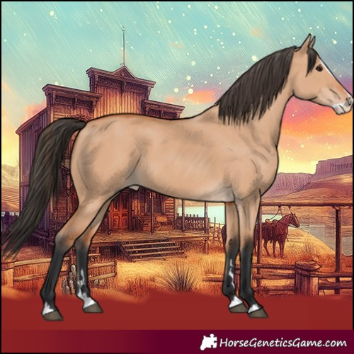 Horse Color:Bay Dun Splash