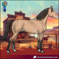 Horse Color:Bay Dun Splash