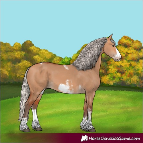 Horse Color:Silver Bay Dun Sabino Tobiano Frame Rabicano 