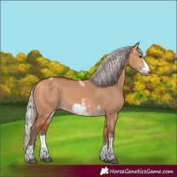 Horse Color:Silver Bay Dun Sabino Tobiano Frame Rabicano