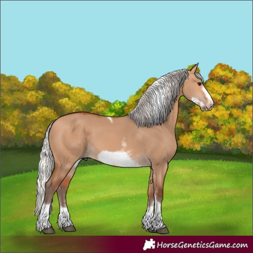 Horse Color:Silver Bay Dun Sabino Tobiano Frame Rabicano 