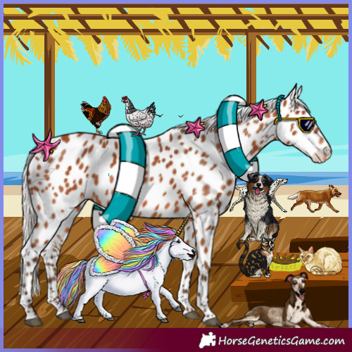 Horse Color:Silver Bay Leopard 