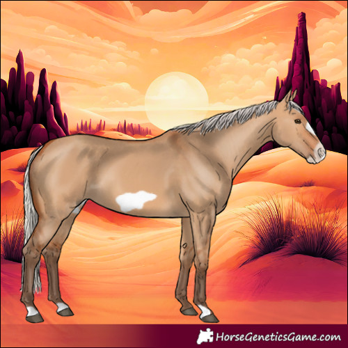 Horse Color:Silver Bay Dun Frame 