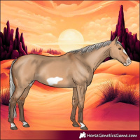 Horse Color:Silver Bay Dun Frame