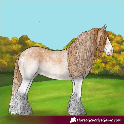 Horse Color:White Spotted Chestnut Splash 