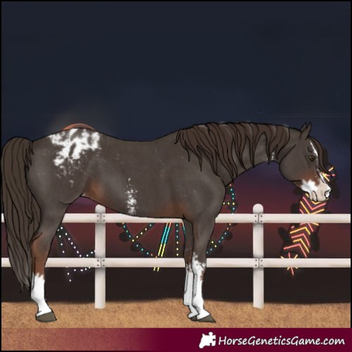 Horse Color:Liver Chestnut Sabino Splash Varnish