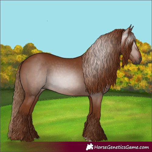 Horse Color:Gray Chestnut