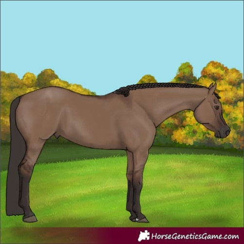 Horse Color:Liver Red Dun