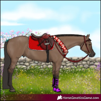 Horse Color:Liver Red Dun
