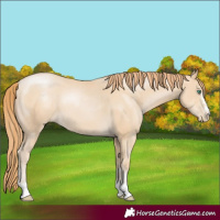 Horse Color:Smoky Black Pearl 
