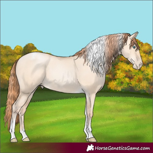 Horse Color:Classic Champagne Pearl Dun Tobiano