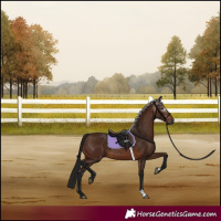 Horse Color:Gray Bay