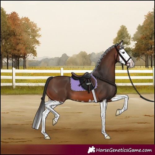Horse Color:Brown Splash 