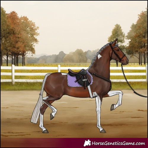 Horse Color:Silver Brown Tobiano