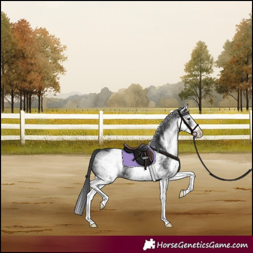 Horse Color:White Spotted Black 