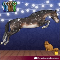 Horse Color:Brown Tobiano Snowflake VarnishRabicano