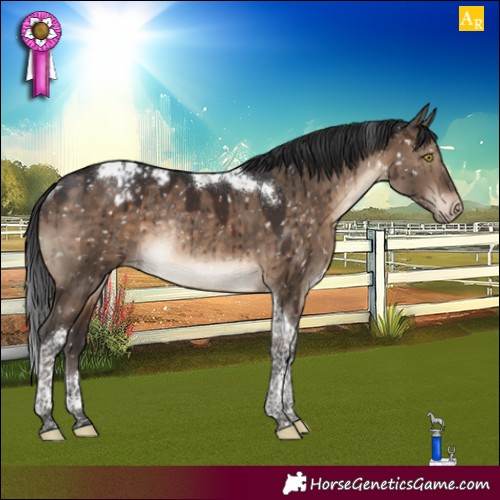 Horse Color:Brown Dun Tobiano Appaloosa Rabicano Brindle 