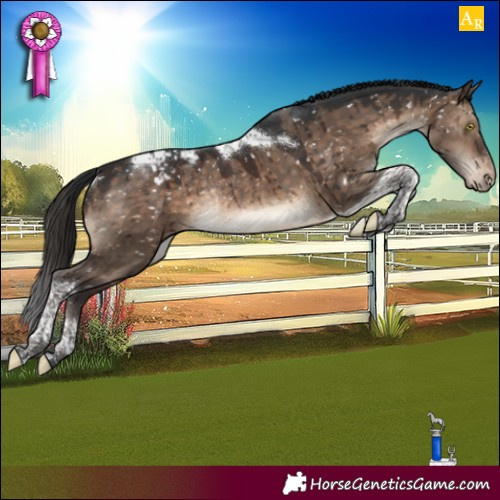 Horse Color:Brown Dun Tobiano Snowcap Rabicano Brindle 