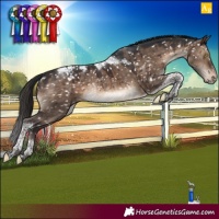 Horse Color:Brown Dun Tobiano Snowcap Rabicano Brindle 