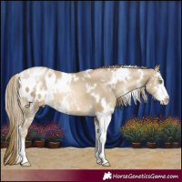 Horse Color:White Spotted Smoky Black Pearl Sabino Appaloosa